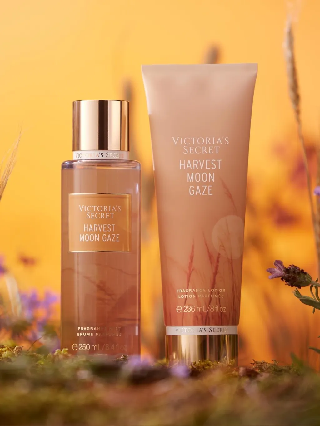 ست دو عددی بادی میست و لوسیون بدن ویکتوریا سیکرت مدل هاروست مون گیز Victoria's Secret Body Mist + Body Cream Harvest Moon Gaze